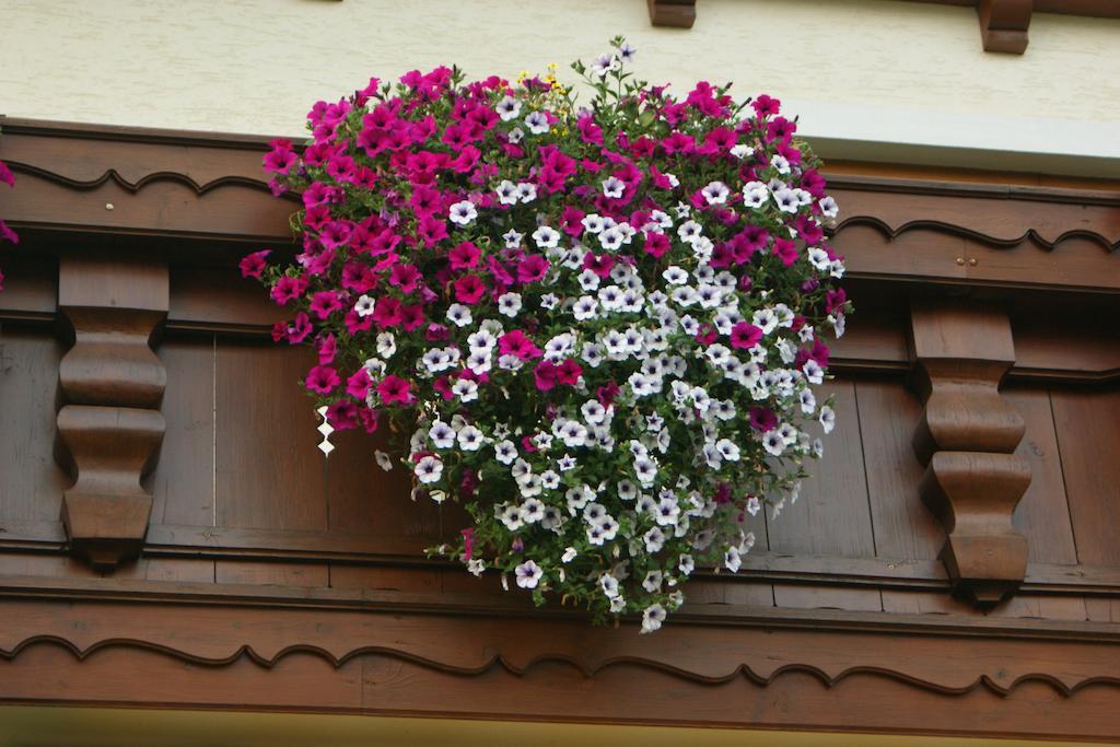 Gaestehaus Kuebler Haus im Ennstal Buitenkant foto